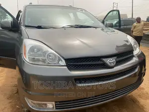 Toyota Sienna LE AWD 2005 Gray