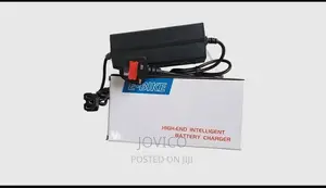 Electric Bike Charger (48v 12/20ah)