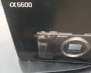 Sony Alpha 6600 With 18-135mm