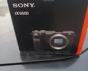 Sony Alpha 6600 With 18-135mm