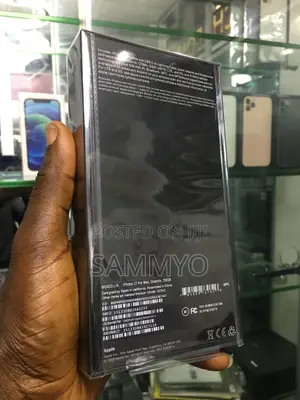 New Apple iPhone 12 Pro Max 256 GB