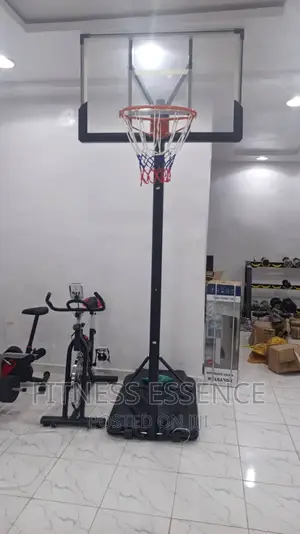 Moveable Basketball Stand