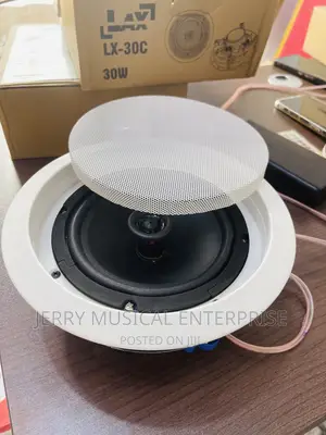 Frameless Stereo Ceiling Speakers