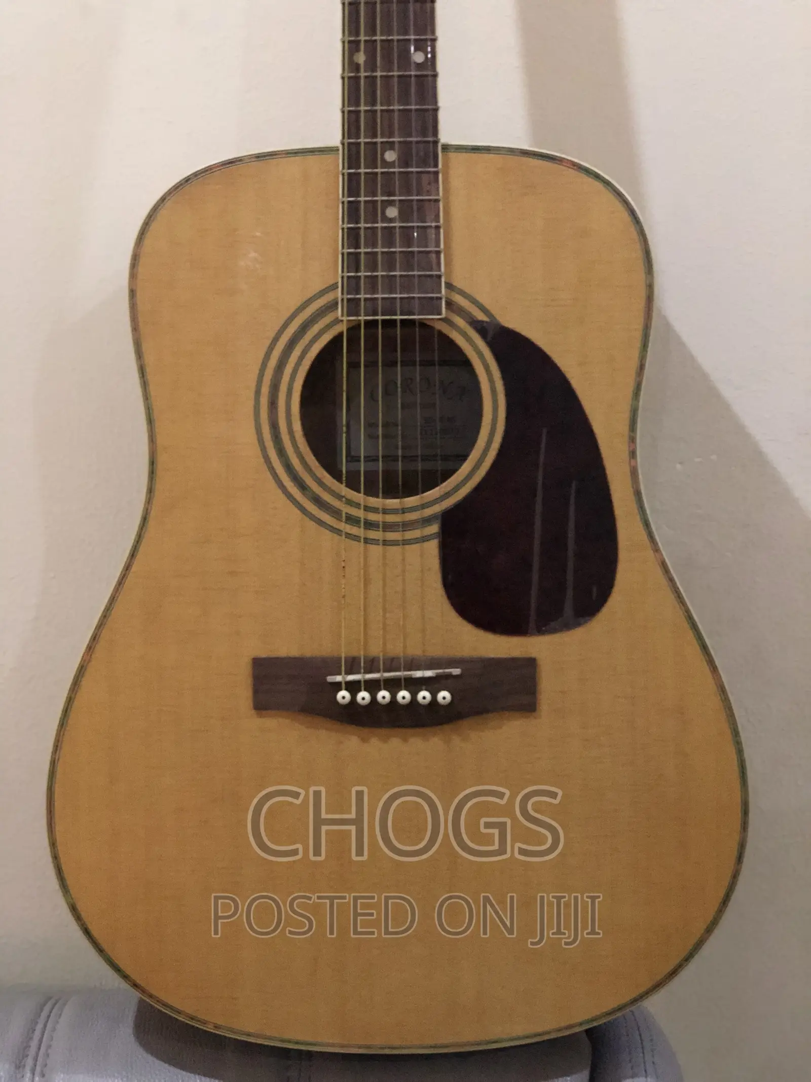 Guitar (Corona SD-70 NS Acoustic Guitar)