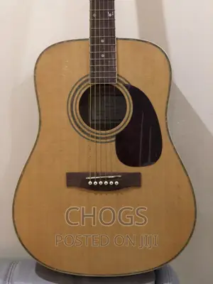 Guitar (Corona SD-70 NS Acoustic Guitar)
