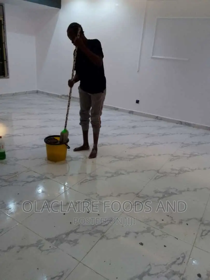 Cleaning Service\Agency