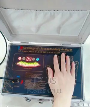 Quantum Magnetic Body Analyzer, Palm Type
