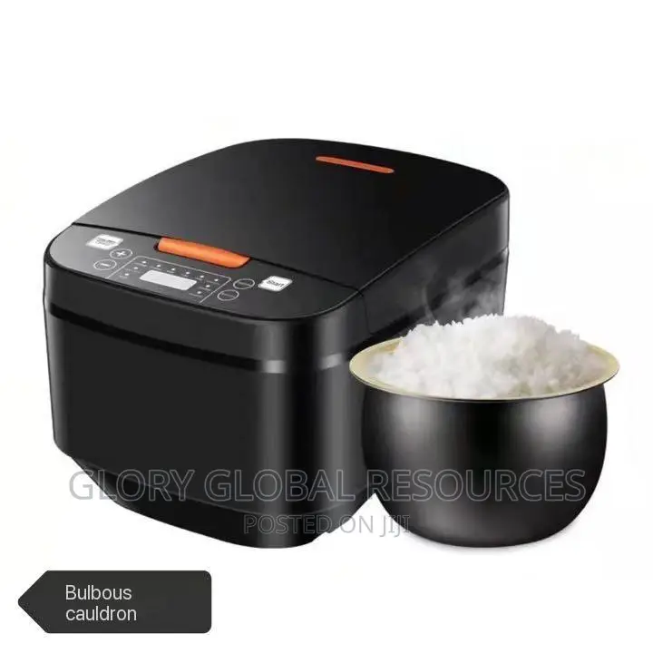 Silver Crest Multi-functional Electric Rice Cooker