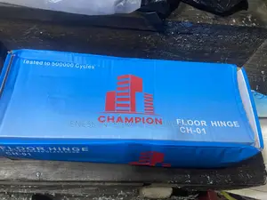 CHAMPION Pivot Floor Spring Hinge