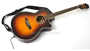 Semi Acustic Guitar