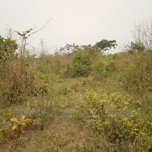 100 Acres of Land for Sale Along Moniya Iseyin Road