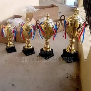 Trophy Cup for Sports Different Sizes
