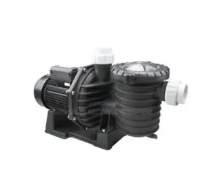Swimming Pool Pumping Machine-Swpa300-1 - 3.0hp-Self Priming