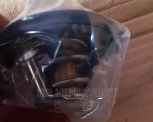 Thermostat Hyundai Kia 1.6 Engines