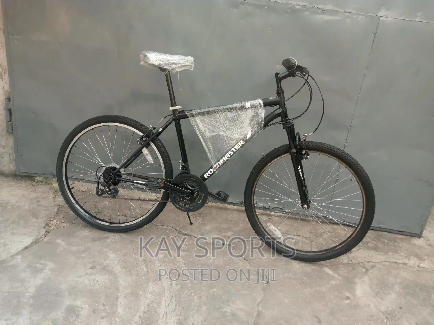 Roadmaster Sport Bicycle