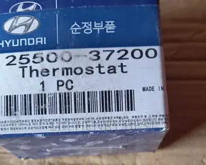 Thermostat for Genesis, Vernacruise, Azera