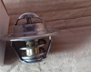 Thermostat for Volkswagen Vehicles
