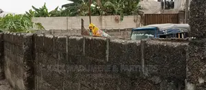 For Sale: Back Gate Salvation Ministries HQTRS , New Gra