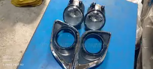 Fog Lamp and Chrome Venza 2015