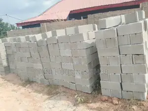 On-Site Moulding of Cement Block | Estate | Building