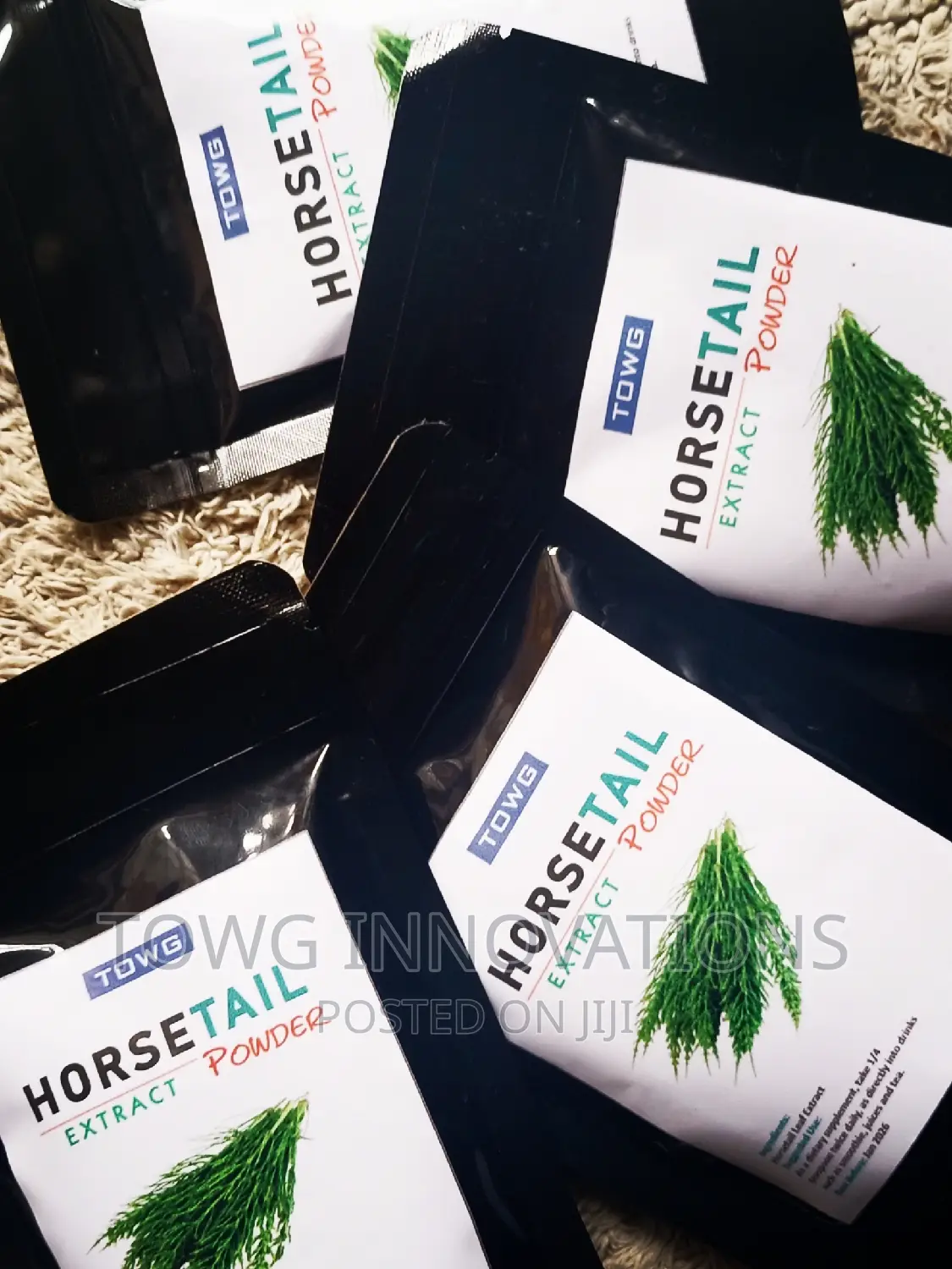 Horsetail Extract 100g