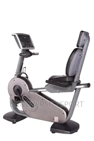 Commercial Recumbent Bike