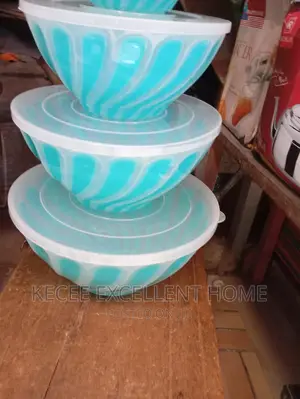 Bowl With Cover 5 Set