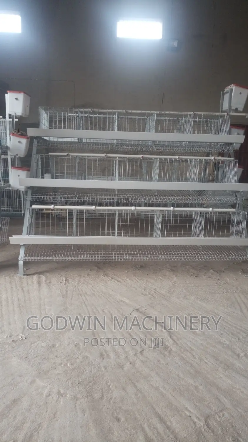 Hot Galvanized Birds Cage