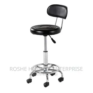 Lab Stool With Back Rest