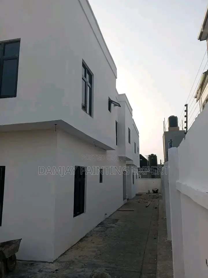 Professional House Painter Screeder Etc