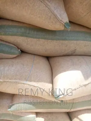 Maize Sorghum Grains