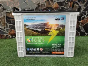 230ah Future Tubular Battery