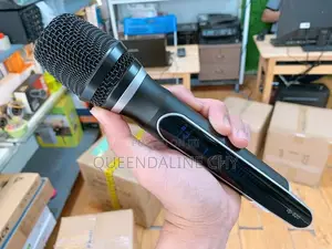 Dp-620 Wireless Microphone