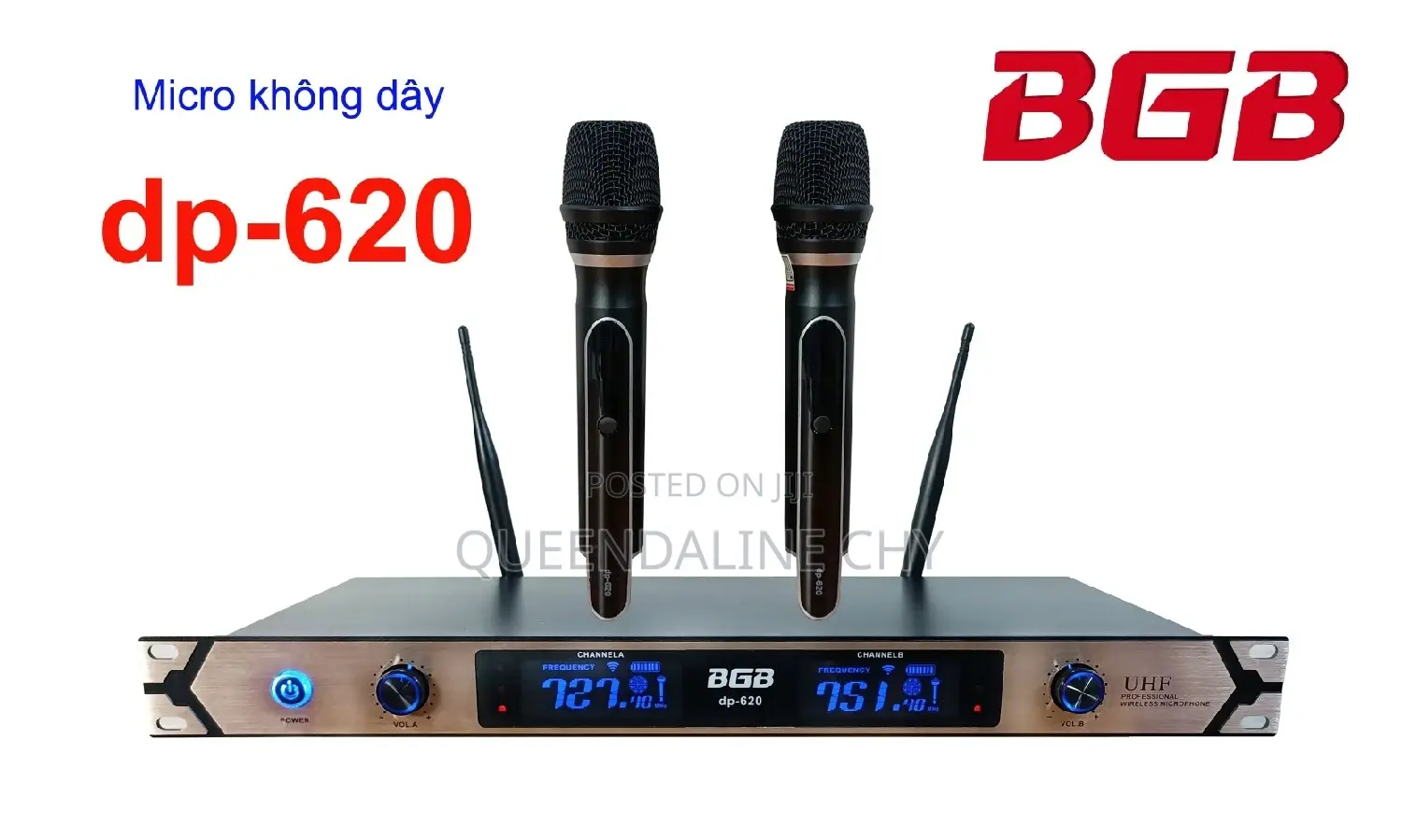 Dp-620 Wireless Microphone