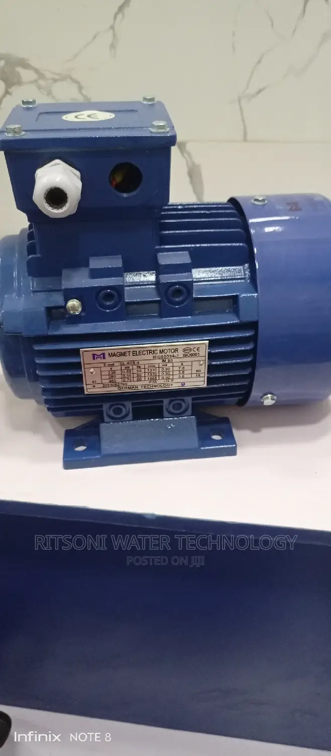 Electric Motor