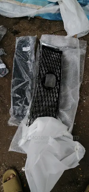 Front Grille Rx350 2015 Model Basket Own