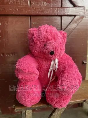 Big Teddy Bear for Valentine's Gift (60cm)