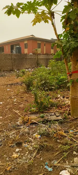Commercial Plot of Land Close to the Major Road