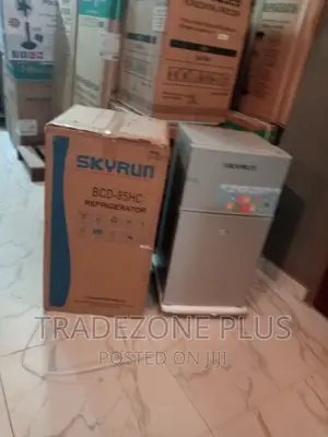 Skyrun Double Door Anti-Rust Refrigerator 70litre BCD-85HC