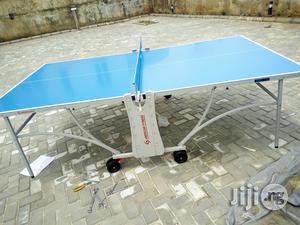 Outdoor Table Tennis Board American Fitness
