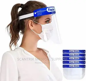Face Shield and Reusable Goggle Shield