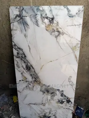 60x120 Super Quality Floor Tiles