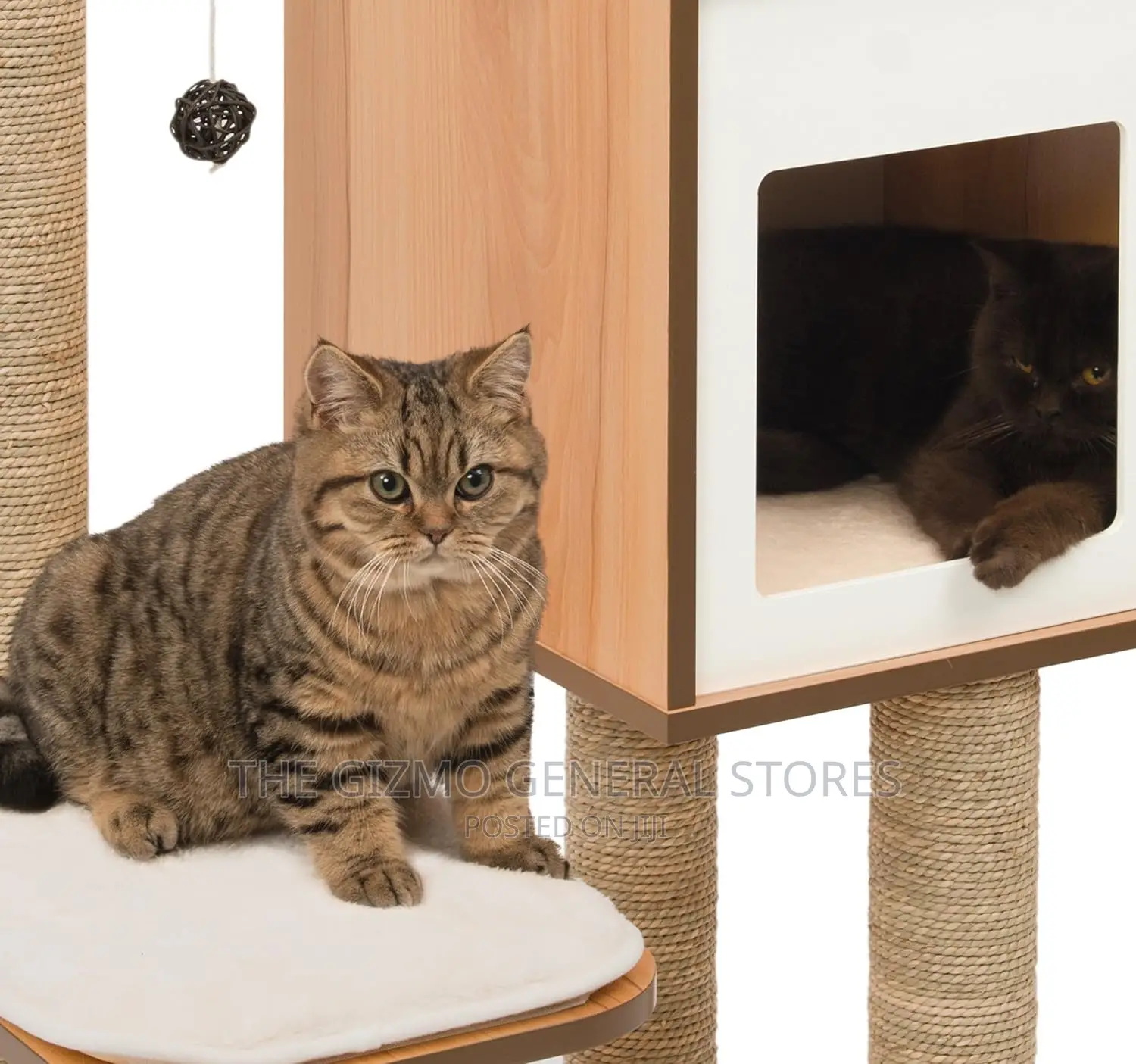 Vesper Cat Tree, High Base, Walnut