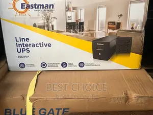 Eastman 1550 Line Interactive Ups