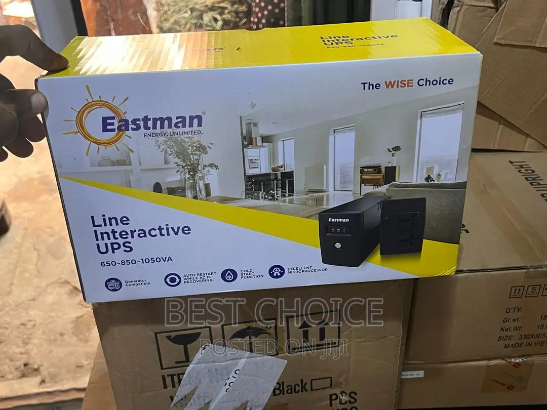 Eastman 650va Line Interactive Ups
