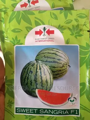 Watermelon Seeds
