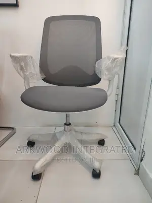 Reading And Office Mesh Chair