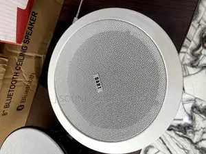 Orginal Ceiling Speakers