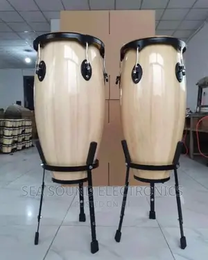 Complete Set of Conga Drum