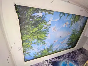 Ceiling Mural 3D (Local)